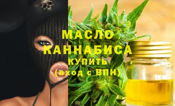 скорость Ельня
