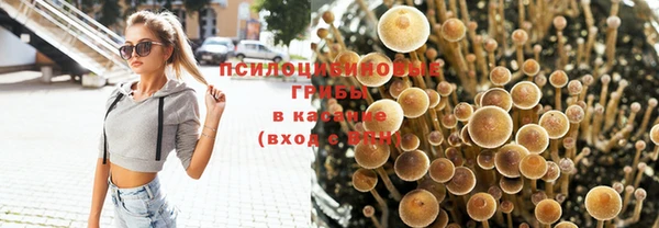ПСИЛОЦИБИНОВЫЕ ГРИБЫ Алексеевка